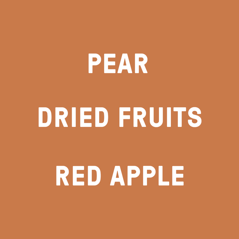 Fjord Coffee Roasters - Guatemala, San Antonio - Filter - Flavour Notes