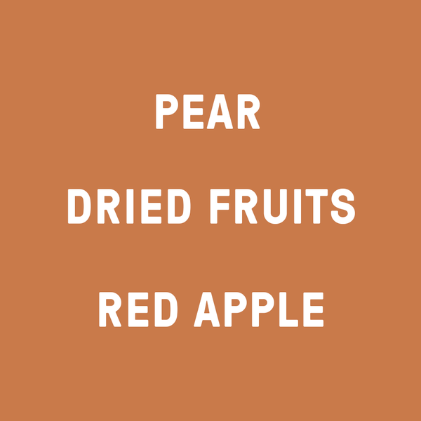 Fjord Coffee Roasters - Guatemala, San Antonio - Espresso - Flavour Notes