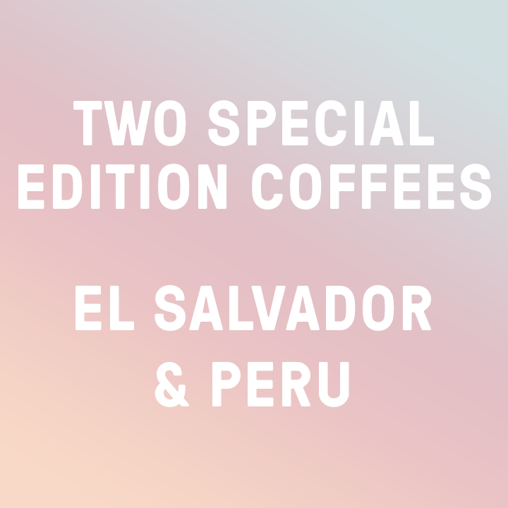 Special Edition Taster Pack